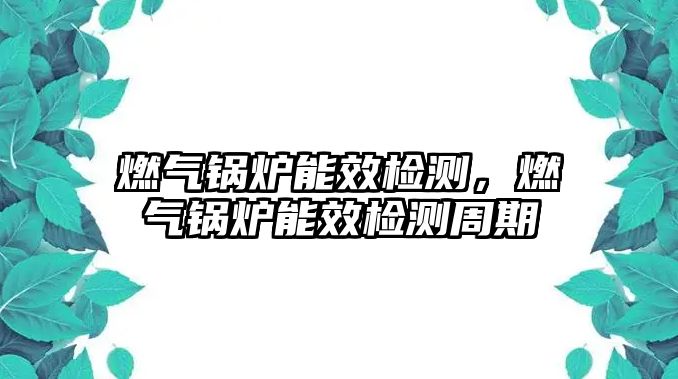 燃?xì)忮仩t能效檢測(cè)，燃?xì)忮仩t能效檢測(cè)周期