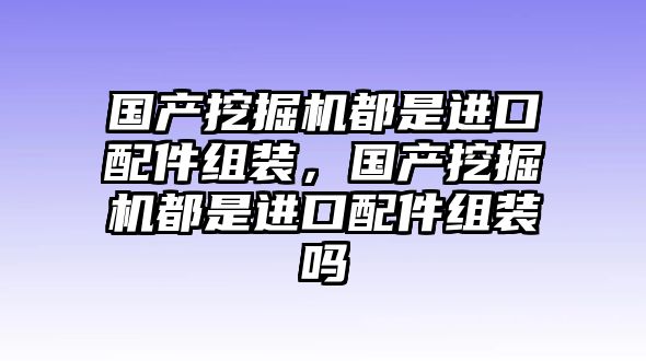 國產挖掘機都是進口配件組裝，國產挖掘機都是進口配件組裝嗎