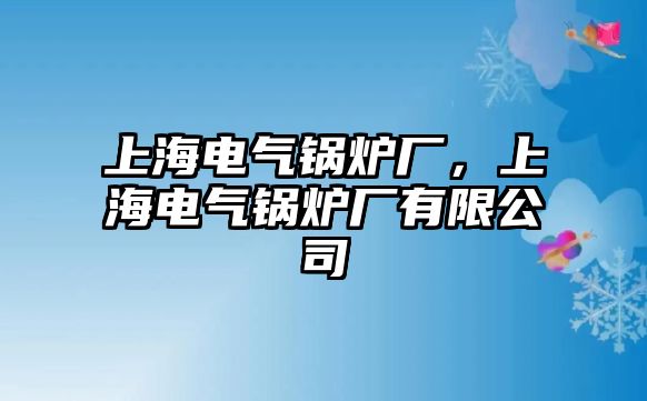 上海電氣鍋爐廠，上海電氣鍋爐廠有限公司