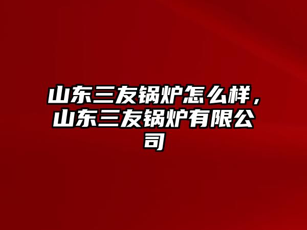 山東三友鍋爐怎么樣，山東三友鍋爐有限公司