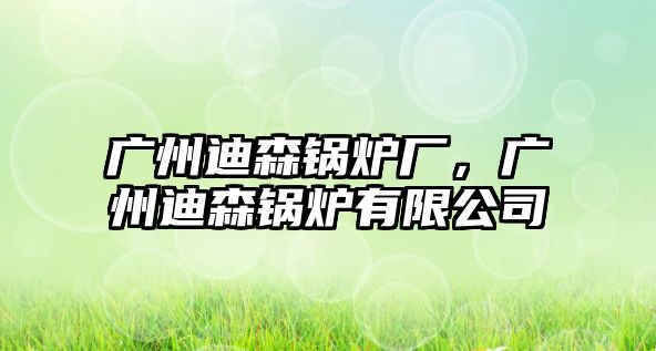 廣州迪森鍋爐廠，廣州迪森鍋爐有限公司