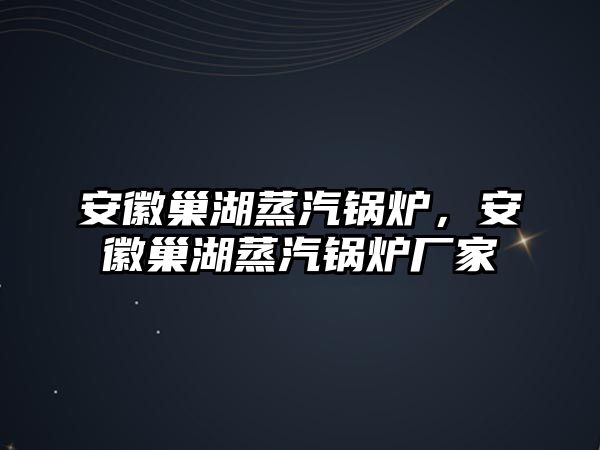 安徽巢湖蒸汽鍋爐，安徽巢湖蒸汽鍋爐廠家