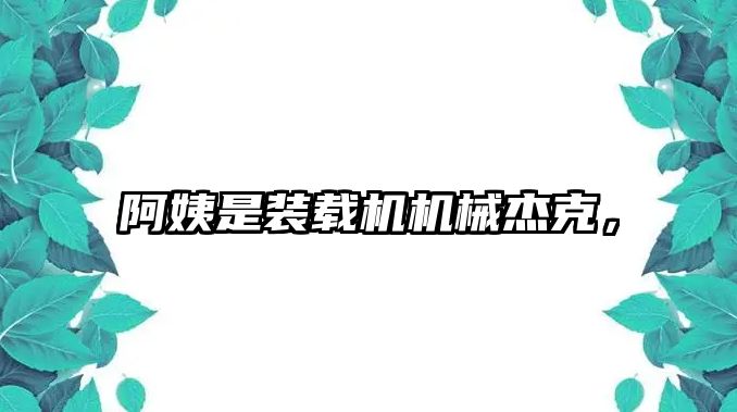 阿姨是裝載機機械杰克，