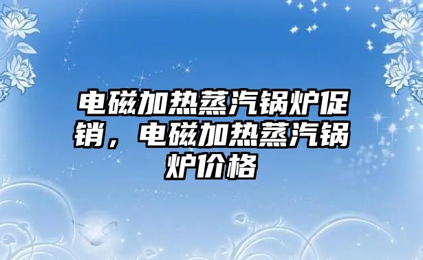 電磁加熱蒸汽鍋爐促銷，電磁加熱蒸汽鍋爐價(jià)格