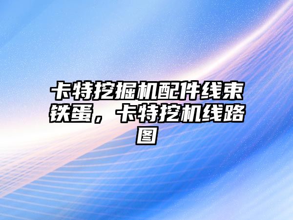 卡特挖掘機配件線束鐵蛋，卡特挖機線路圖