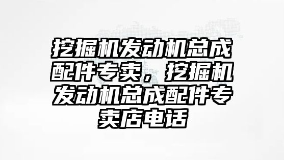 挖掘機(jī)發(fā)動(dòng)機(jī)總成配件專賣，挖掘機(jī)發(fā)動(dòng)機(jī)總成配件專賣店電話