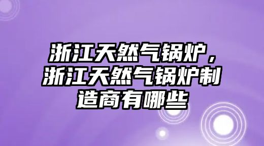 浙江天然氣鍋爐，浙江天然氣鍋爐制造商有哪些