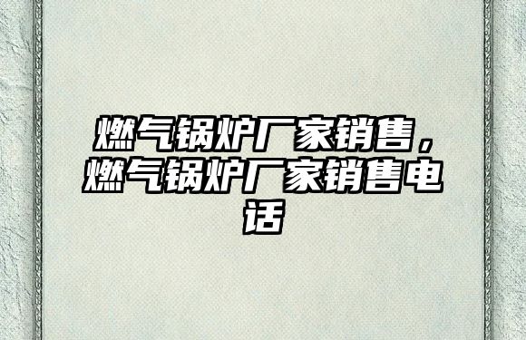 燃?xì)忮仩t廠家銷售，燃?xì)忮仩t廠家銷售電話