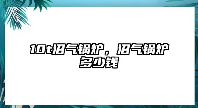 10t沼氣鍋爐，沼氣鍋爐多少錢