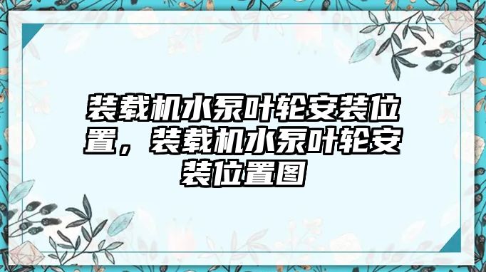 裝載機(jī)水泵葉輪安裝位置，裝載機(jī)水泵葉輪安裝位置圖