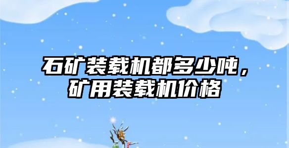 石礦裝載機都多少噸，礦用裝載機價格