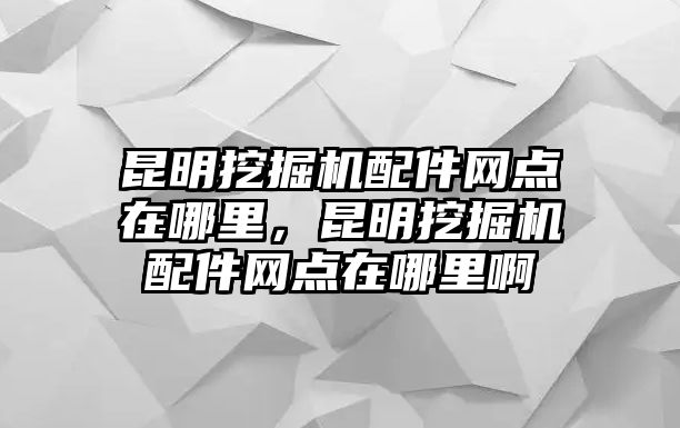 昆明挖掘機(jī)配件網(wǎng)點(diǎn)在哪里，昆明挖掘機(jī)配件網(wǎng)點(diǎn)在哪里啊