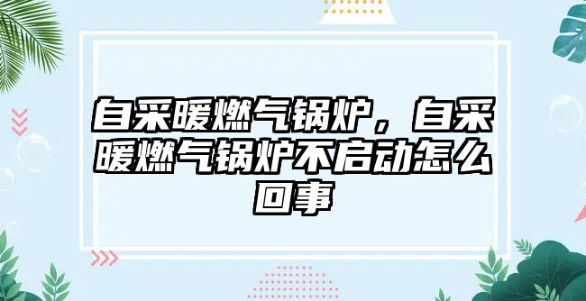 自采暖燃氣鍋爐，自采暖燃氣鍋爐不啟動怎么回事