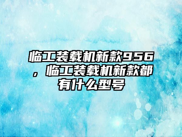 臨工裝載機新款956，臨工裝載機新款都有什么型號