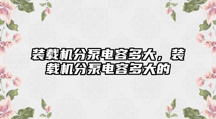 裝載機分泵電容多大，裝載機分泵電容多大的