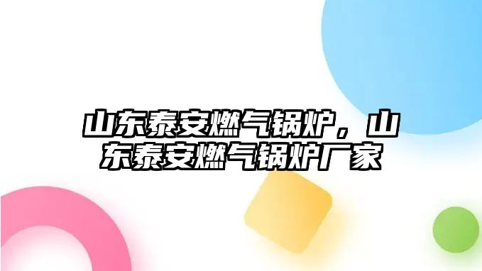 山東泰安燃?xì)忮仩t，山東泰安燃?xì)忮仩t廠家