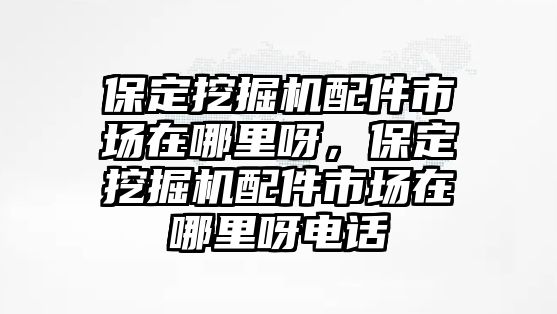 保定挖掘機(jī)配件市場(chǎng)在哪里呀，保定挖掘機(jī)配件市場(chǎng)在哪里呀電話