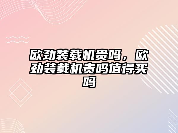 歐勁裝載機貴嗎，歐勁裝載機貴嗎值得買嗎