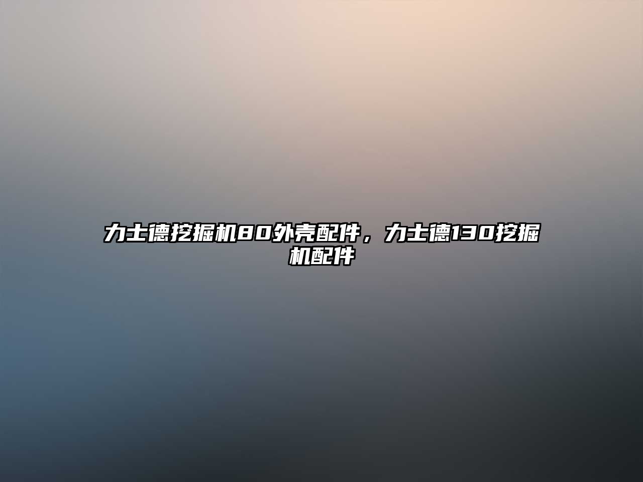 力士德挖掘機(jī)80外殼配件，力士德130挖掘機(jī)配件