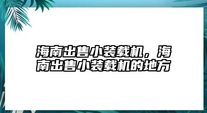 海南出售小裝載機(jī)，海南出售小裝載機(jī)的地方