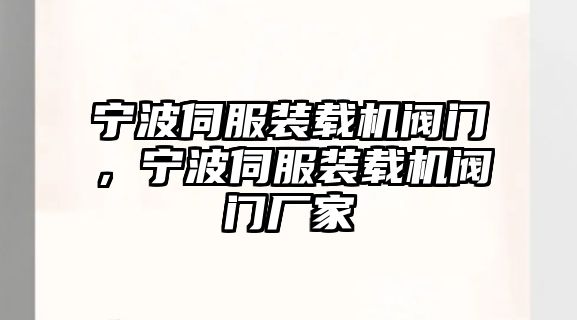 寧波伺服裝載機(jī)閥門，寧波伺服裝載機(jī)閥門廠家