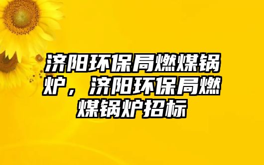 濟(jì)陽(yáng)環(huán)保局燃煤鍋爐，濟(jì)陽(yáng)環(huán)保局燃煤鍋爐招標(biāo)