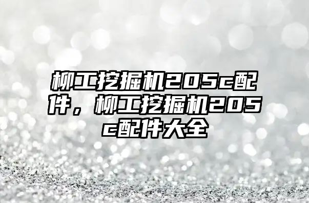 柳工挖掘機(jī)205c配件，柳工挖掘機(jī)205c配件大全