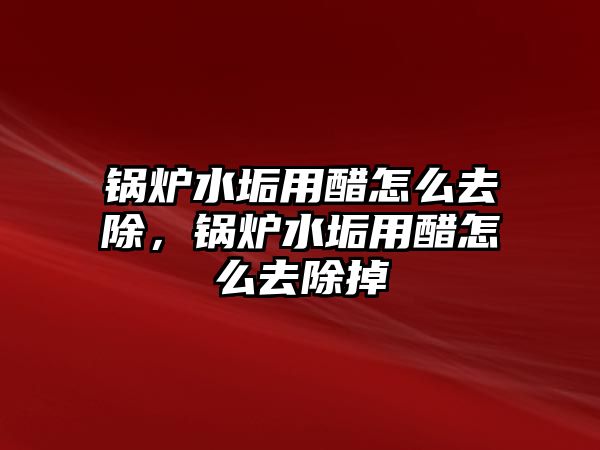 鍋爐水垢用醋怎么去除，鍋爐水垢用醋怎么去除掉