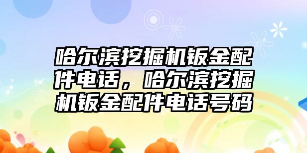 哈爾濱挖掘機(jī)鈑金配件電話，哈爾濱挖掘機(jī)鈑金配件電話號(hào)碼