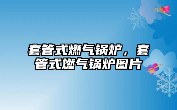 套管式燃氣鍋爐，套管式燃氣鍋爐圖片