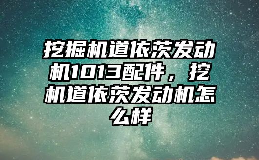 挖掘機道依茨發(fā)動機1013配件，挖機道依茨發(fā)動機怎么樣