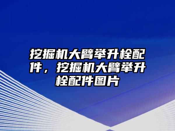 挖掘機(jī)大臂舉升栓配件，挖掘機(jī)大臂舉升栓配件圖片