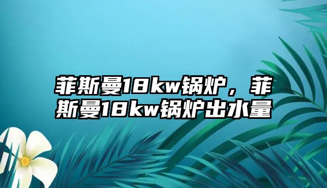 菲斯曼18kw鍋爐，菲斯曼18kw鍋爐出水量