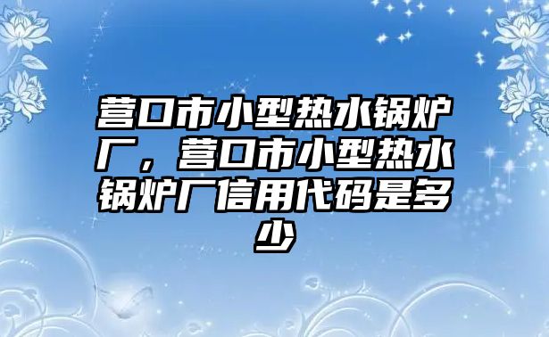 營口市小型熱水鍋爐廠，營口市小型熱水鍋爐廠信用代碼是多少