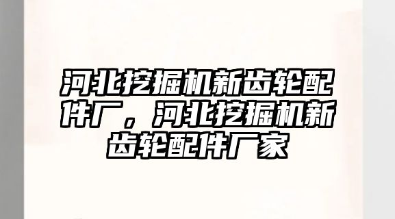 河北挖掘機新齒輪配件廠，河北挖掘機新齒輪配件廠家