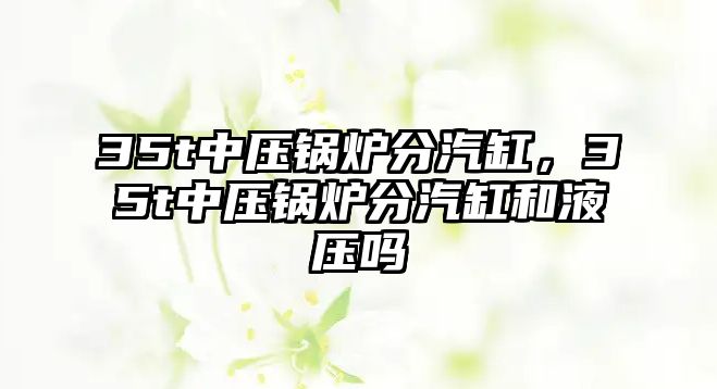 35t中壓鍋爐分汽缸，35t中壓鍋爐分汽缸和液壓?jiǎn)?/>	
								</i>
								<p class=