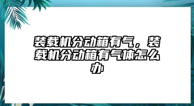 裝載機分動箱有氣，裝載機分動箱有氣體怎么辦