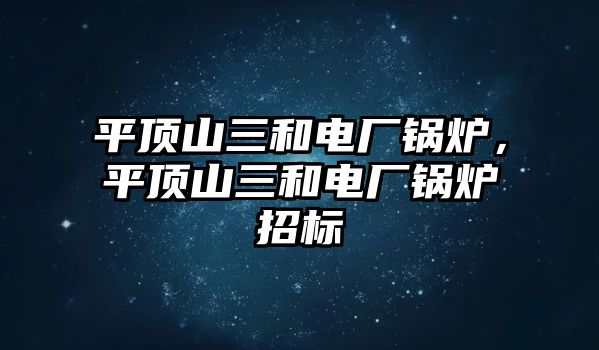 平頂山三和電廠鍋爐，平頂山三和電廠鍋爐招標