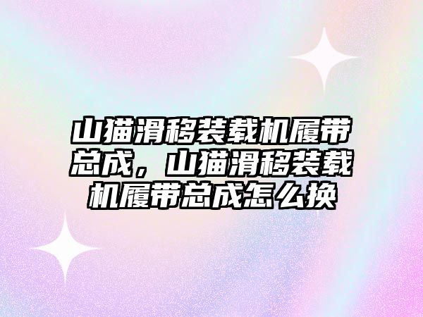 山貓滑移裝載機(jī)履帶總成，山貓滑移裝載機(jī)履帶總成怎么換