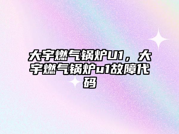 大宇燃?xì)忮仩tU1，大宇燃?xì)忮仩tu1故障代碼