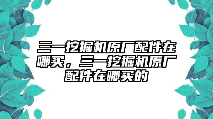 三一挖掘機(jī)原廠配件在哪買，三一挖掘機(jī)原廠配件在哪買的