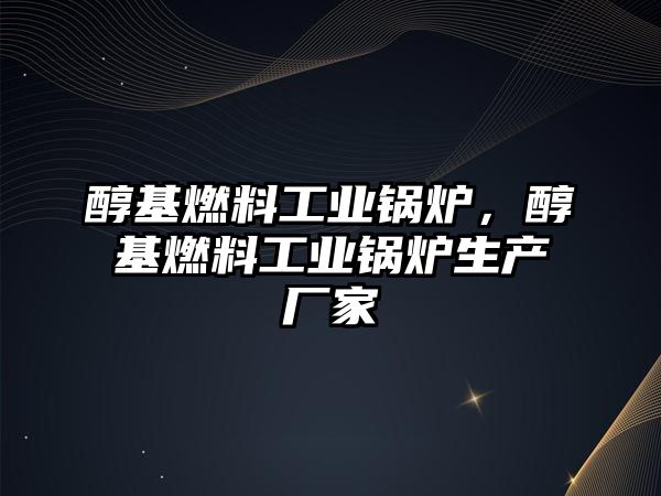 醇基燃料工業(yè)鍋爐，醇基燃料工業(yè)鍋爐生產(chǎn)廠家