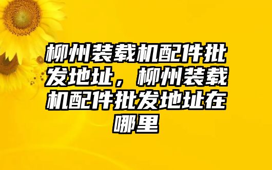 柳州裝載機(jī)配件批發(fā)地址，柳州裝載機(jī)配件批發(fā)地址在哪里