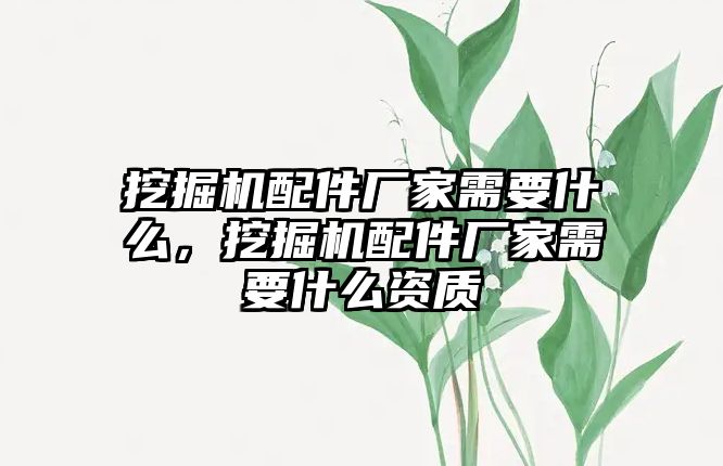 挖掘機配件廠家需要什么，挖掘機配件廠家需要什么資質(zhì)