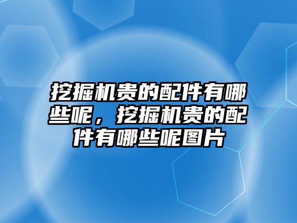 挖掘機(jī)貴的配件有哪些呢，挖掘機(jī)貴的配件有哪些呢圖片