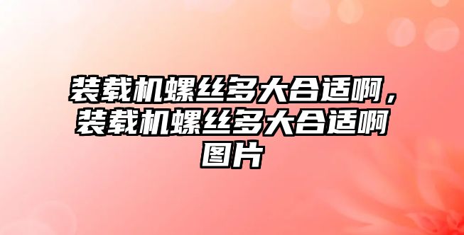 裝載機螺絲多大合適啊，裝載機螺絲多大合適啊圖片