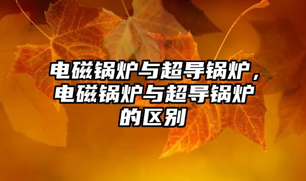 電磁鍋爐與超導(dǎo)鍋爐，電磁鍋爐與超導(dǎo)鍋爐的區(qū)別