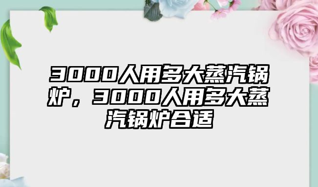 3000人用多大蒸汽鍋爐，3000人用多大蒸汽鍋爐合適