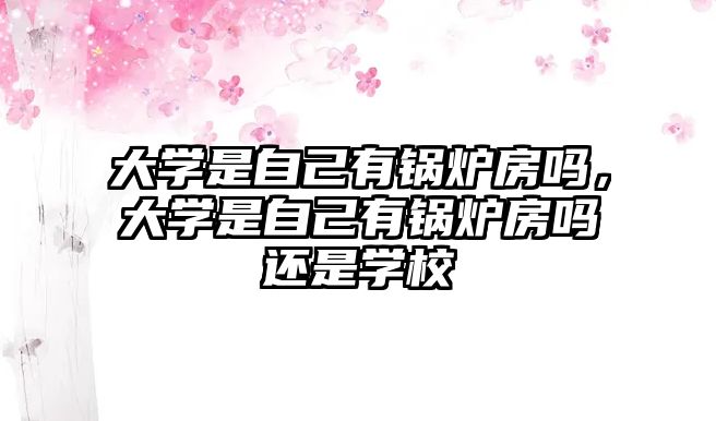 大學(xué)是自己有鍋爐房嗎，大學(xué)是自己有鍋爐房嗎還是學(xué)校