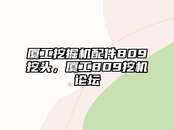 廈工挖掘機配件809挖頭，廈工809挖機論壇